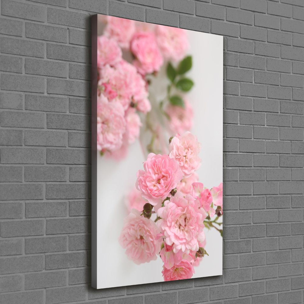 Tableau photo sur toile Rosier sauvage