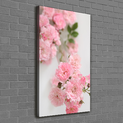 Tableau photo sur toile Rosier sauvage