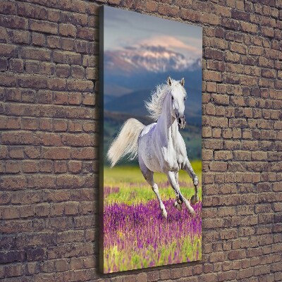 Tableau mural sur toile Cheval blanc au galop