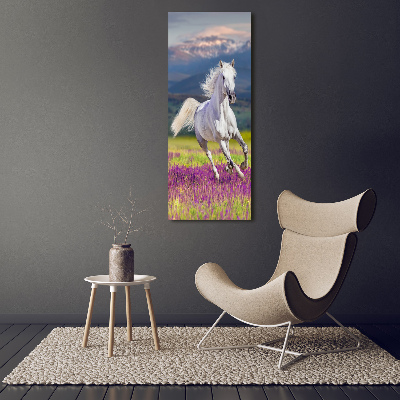 Tableau mural sur toile Cheval blanc au galop