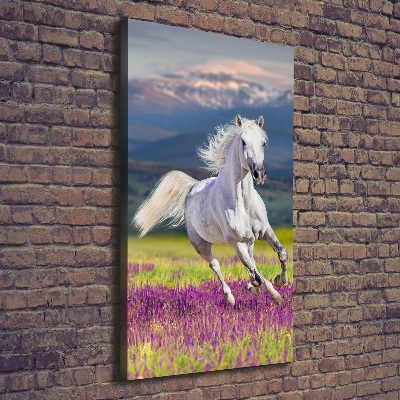 Tableau mural sur toile Cheval blanc au galop