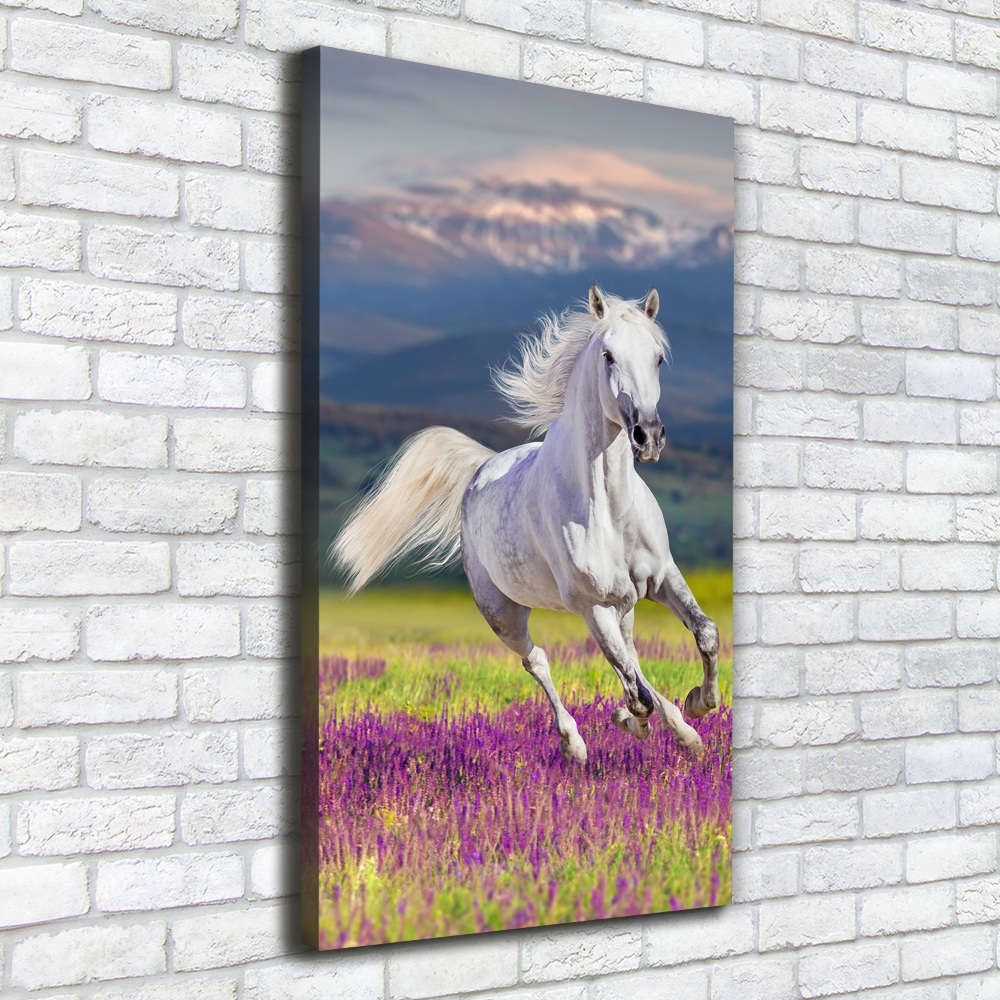 Tableau mural sur toile Cheval blanc au galop