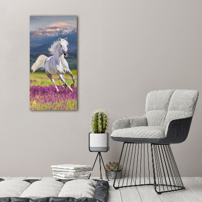 Tableau mural sur toile Cheval blanc au galop