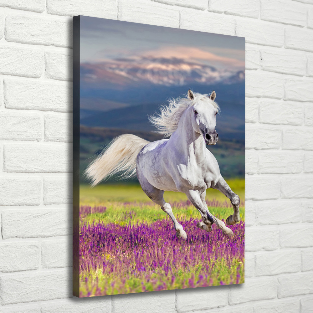 Tableau mural sur toile Cheval blanc au galop