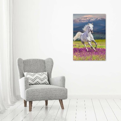 Tableau mural sur toile Cheval blanc au galop