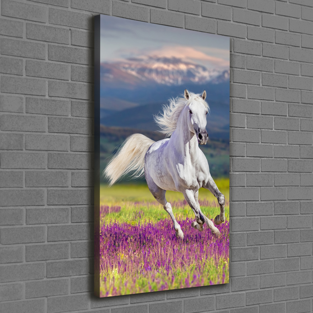 Tableau mural sur toile Cheval blanc au galop