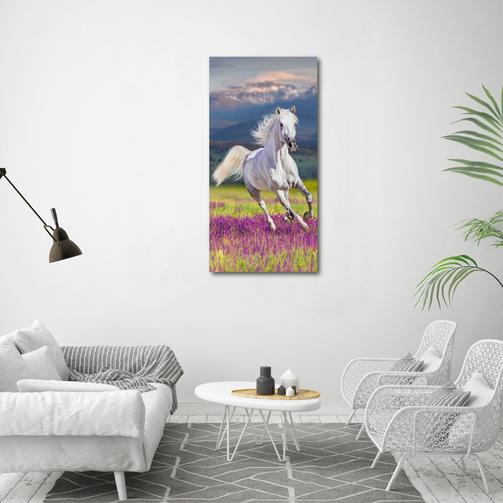 Tableau mural sur toile Cheval blanc au galop