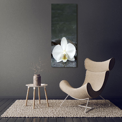 Tableau photo sur toile Pierres d'orchidées