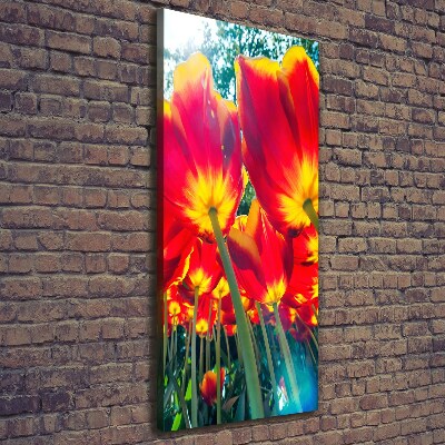 Tableau mural sur toile Tulipes rouges