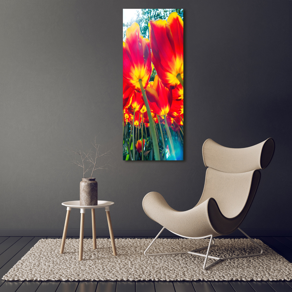 Tableau mural sur toile Tulipes rouges