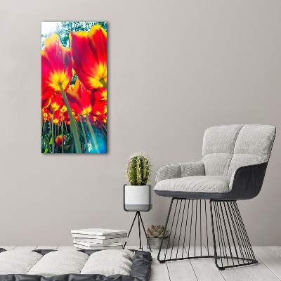 Tableau mural sur toile Tulipes rouges