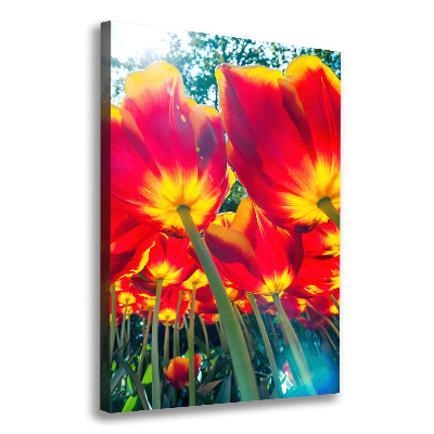 Tableau mural sur toile Tulipes rouges