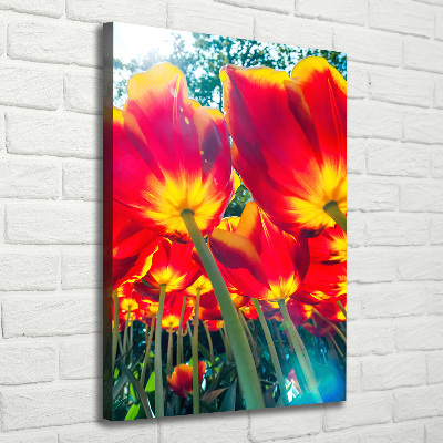 Tableau mural sur toile Tulipes rouges