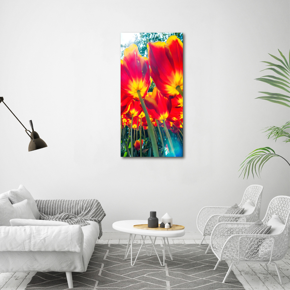 Tableau mural sur toile Tulipes rouges