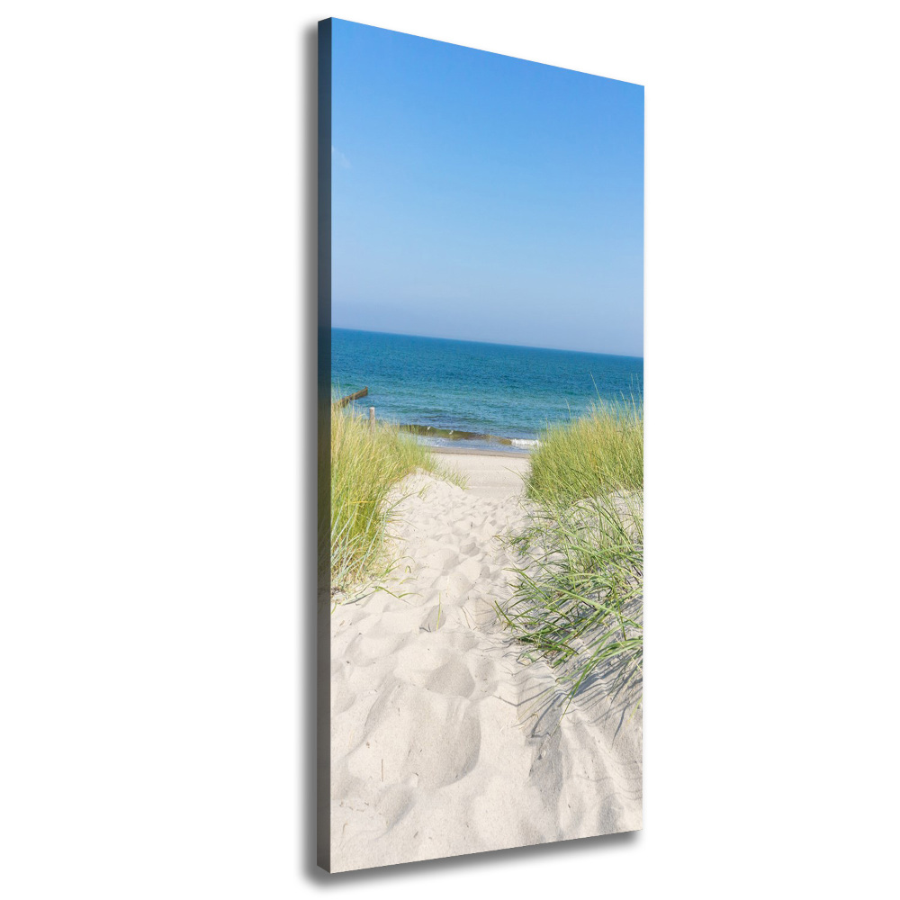 Tableau sur toile Dunes en bord de mer