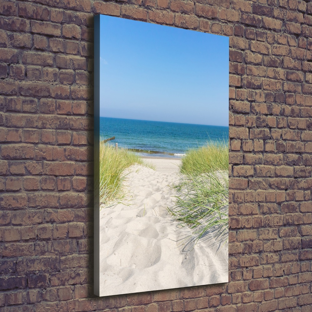 Tableau sur toile Dunes en bord de mer