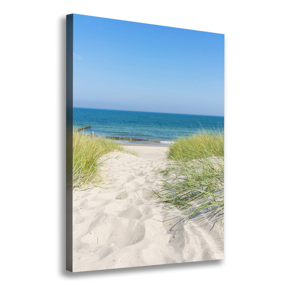 Tableau sur toile Dunes en bord de mer