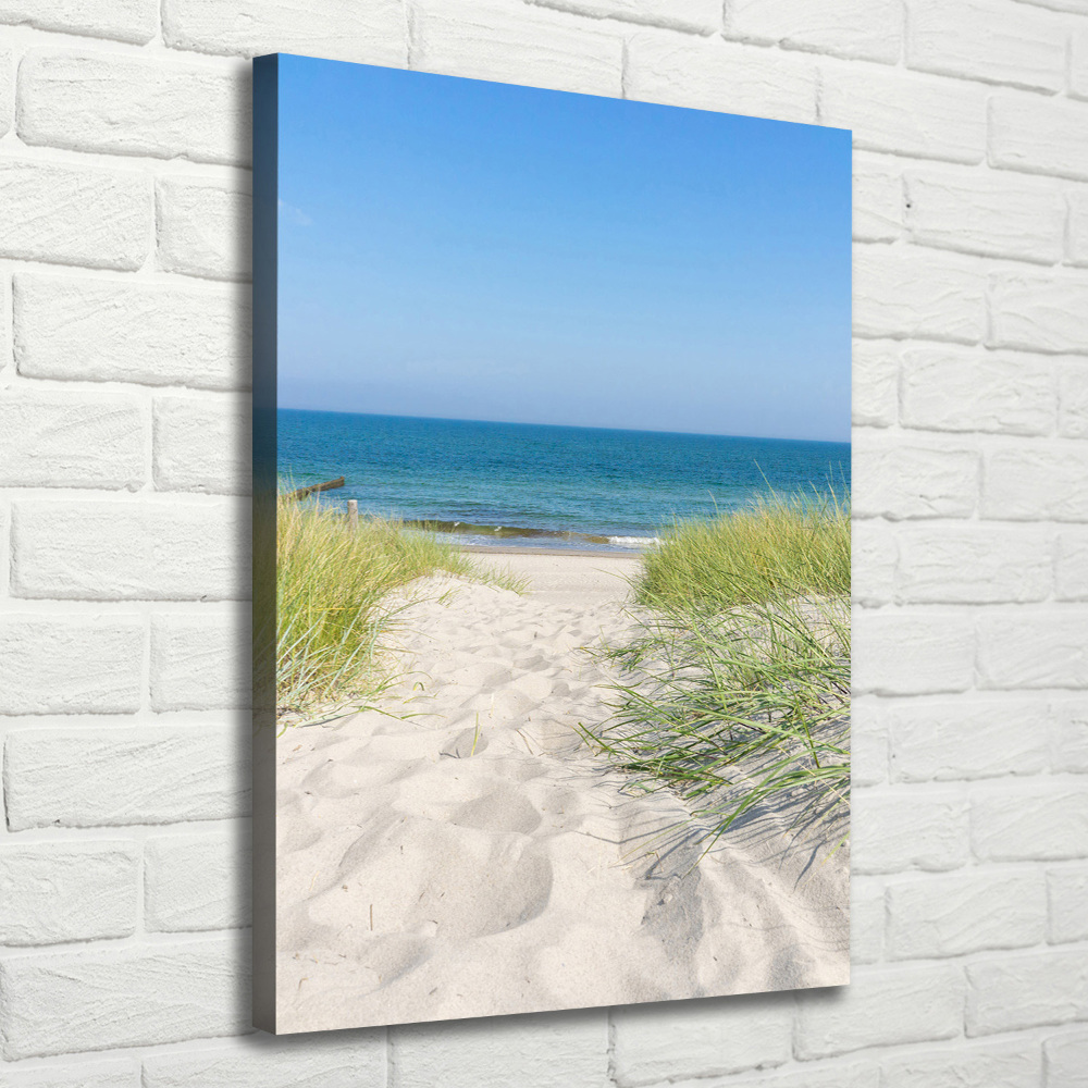 Tableau sur toile Dunes en bord de mer