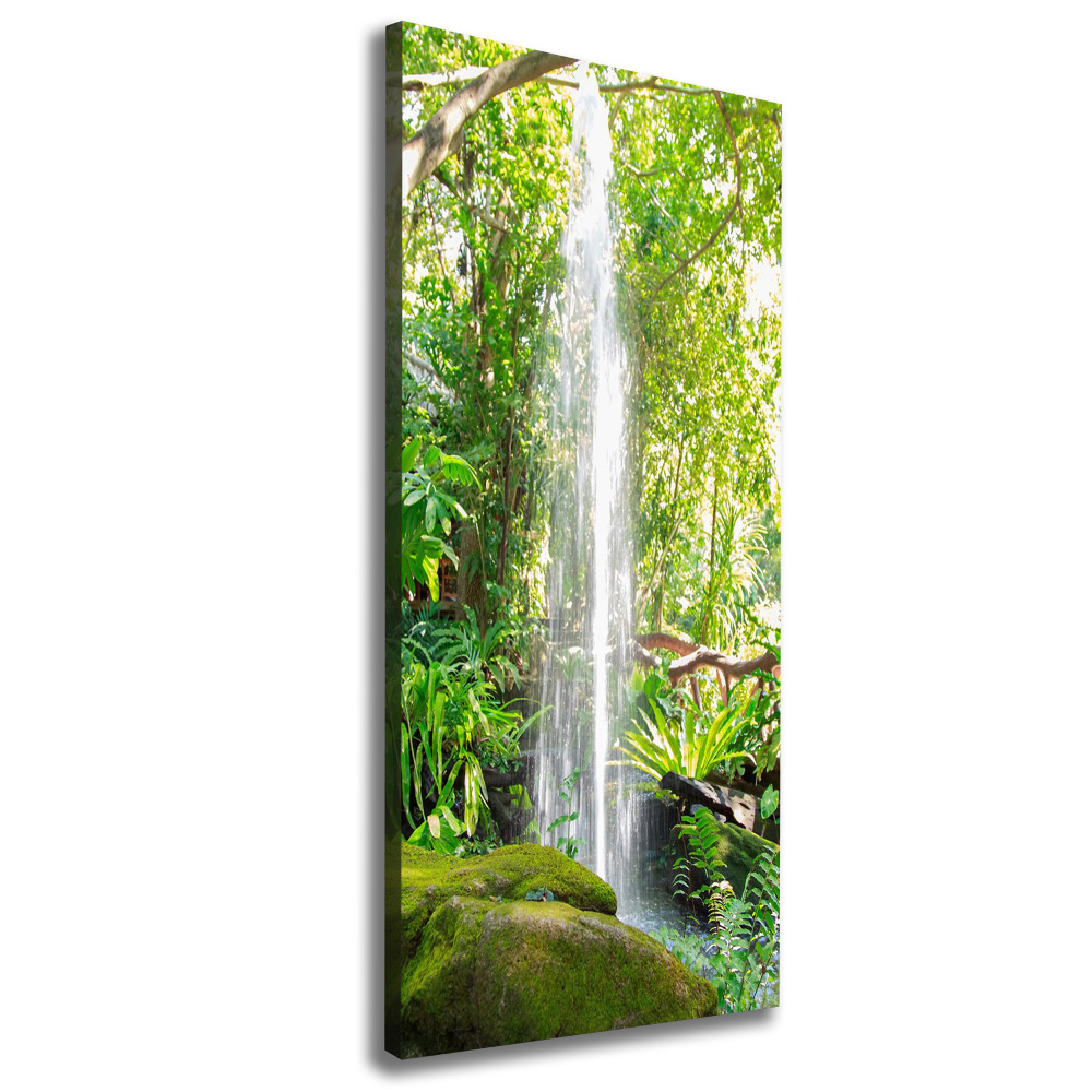 Tableau sur toile Cascade dans la jungle