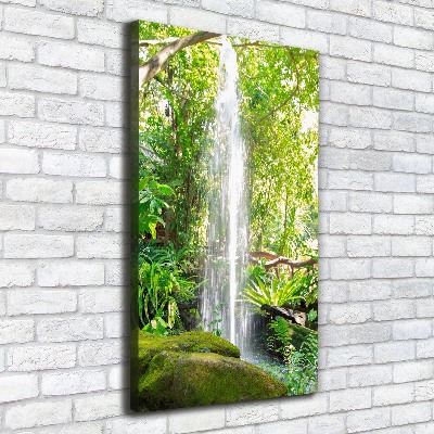 Tableau sur toile Cascade dans la jungle