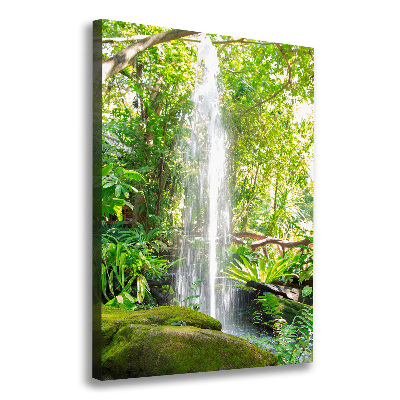 Tableau sur toile Cascade dans la jungle