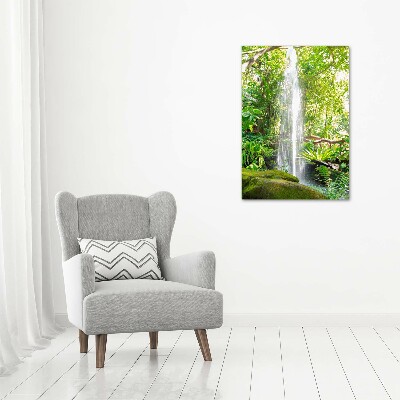 Tableau sur toile Cascade dans la jungle