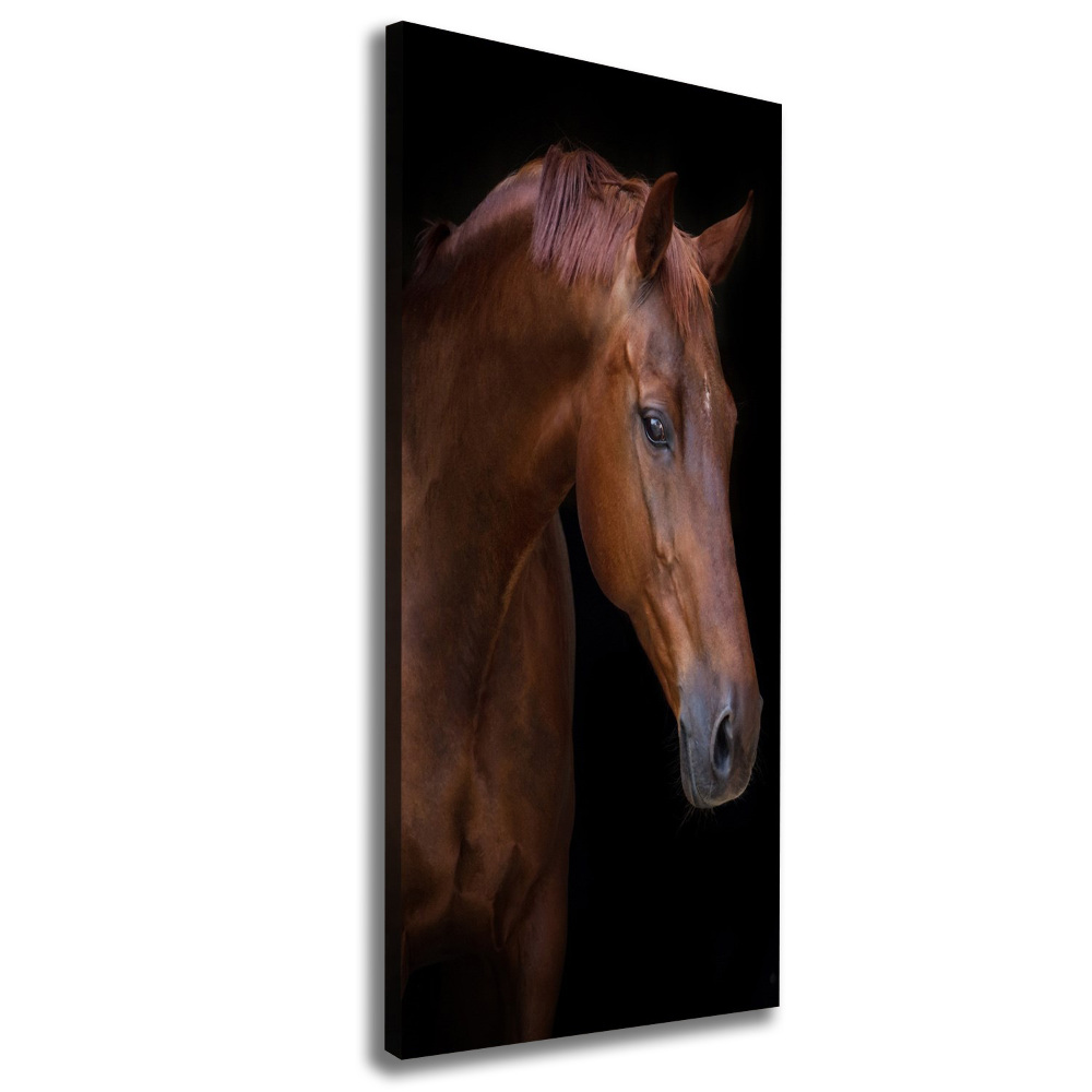 Tableau photo sur toile Portrait d'un cheval