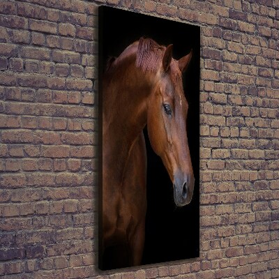 Tableau photo sur toile Portrait d'un cheval