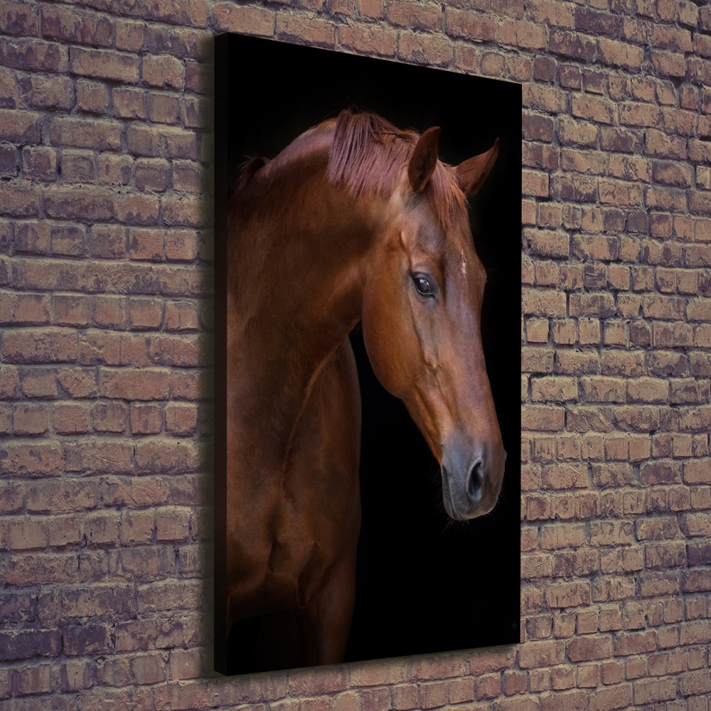 Tableau photo sur toile Portrait d'un cheval