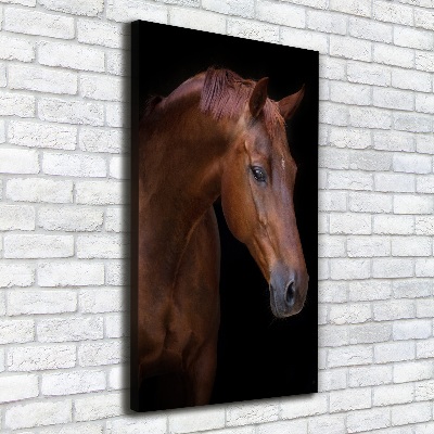 Tableau photo sur toile Portrait d'un cheval