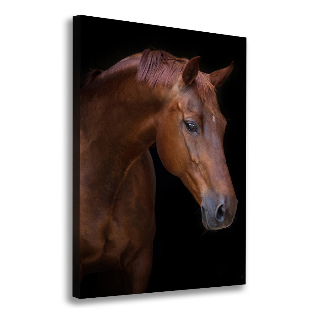 Tableau photo sur toile Portrait d'un cheval