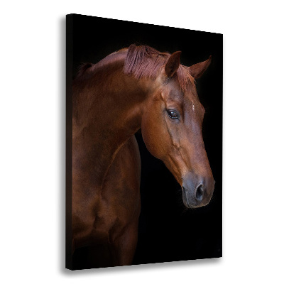 Tableau photo sur toile Portrait d'un cheval