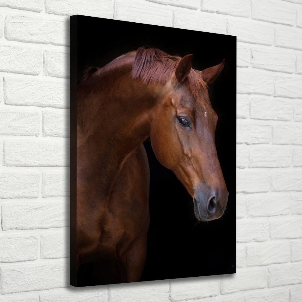 Tableau photo sur toile Portrait d'un cheval