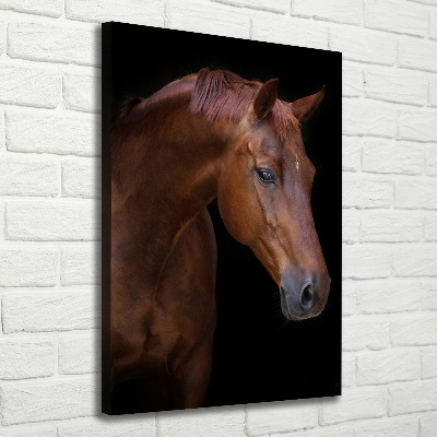 Tableau photo sur toile Portrait d'un cheval