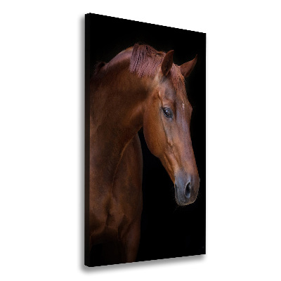 Tableau photo sur toile Portrait d'un cheval