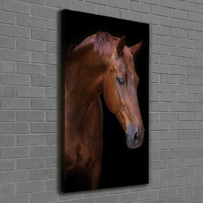 Tableau photo sur toile Portrait d'un cheval