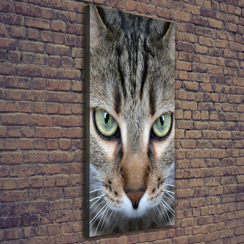 Tableau photo sur toile Yeux d'un chat