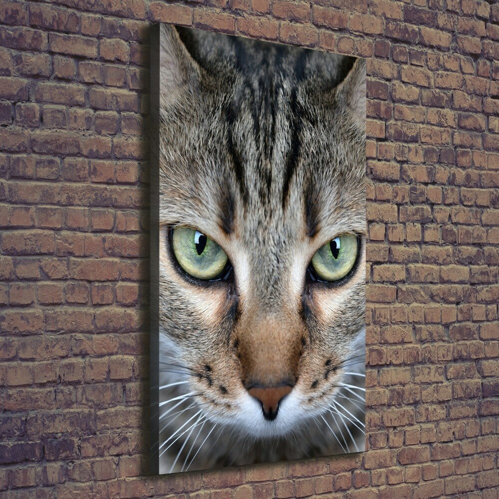 Tableau photo sur toile Yeux d'un chat