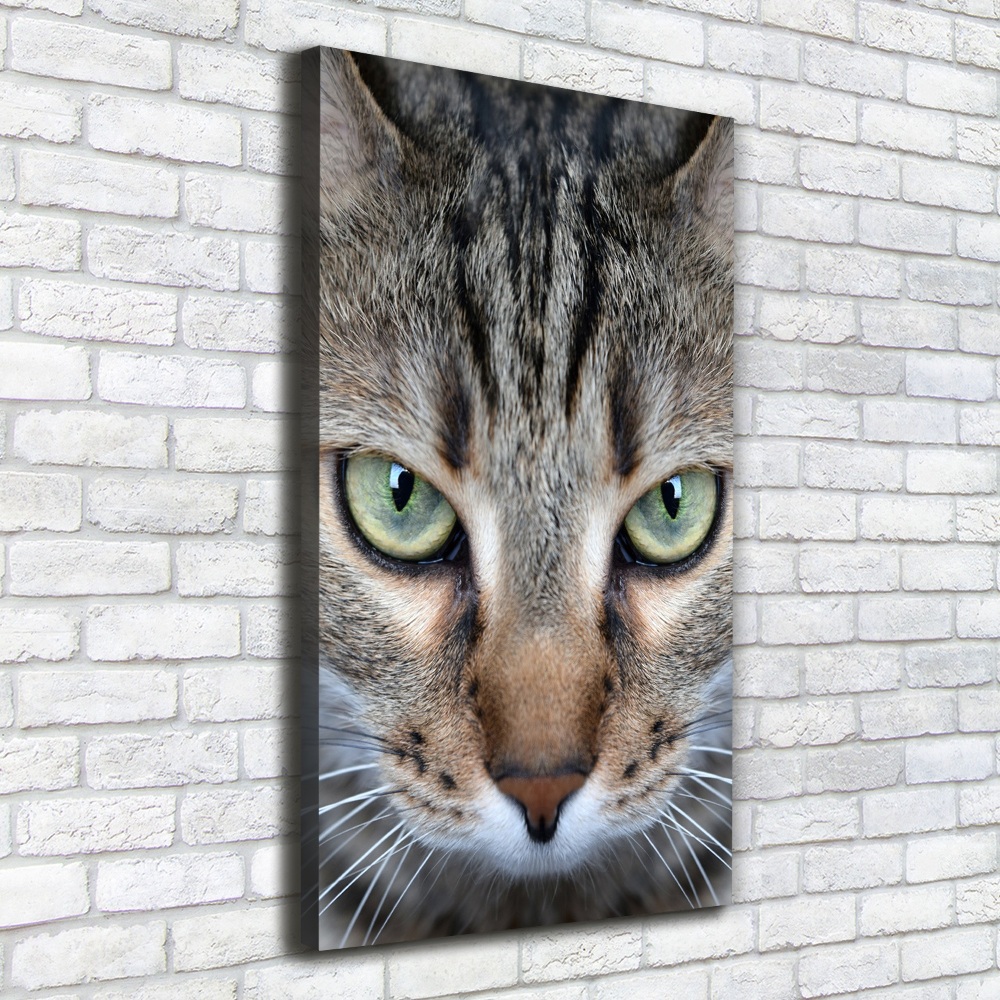 Tableau photo sur toile Yeux d'un chat