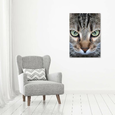 Tableau photo sur toile Yeux d'un chat