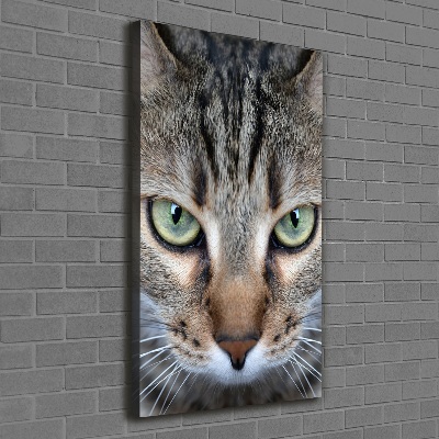 Tableau photo sur toile Yeux d'un chat