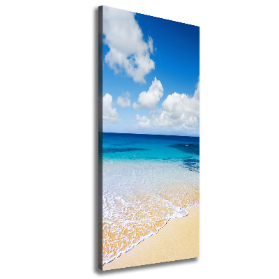 Tableau mural sur toile Plage tropicale ocean