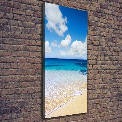 Tableau mural sur toile Plage tropicale ocean