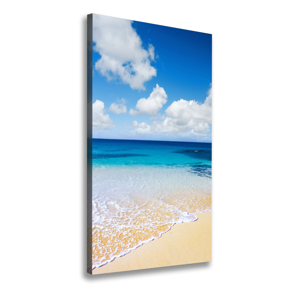 Tableau mural sur toile Plage tropicale ocean