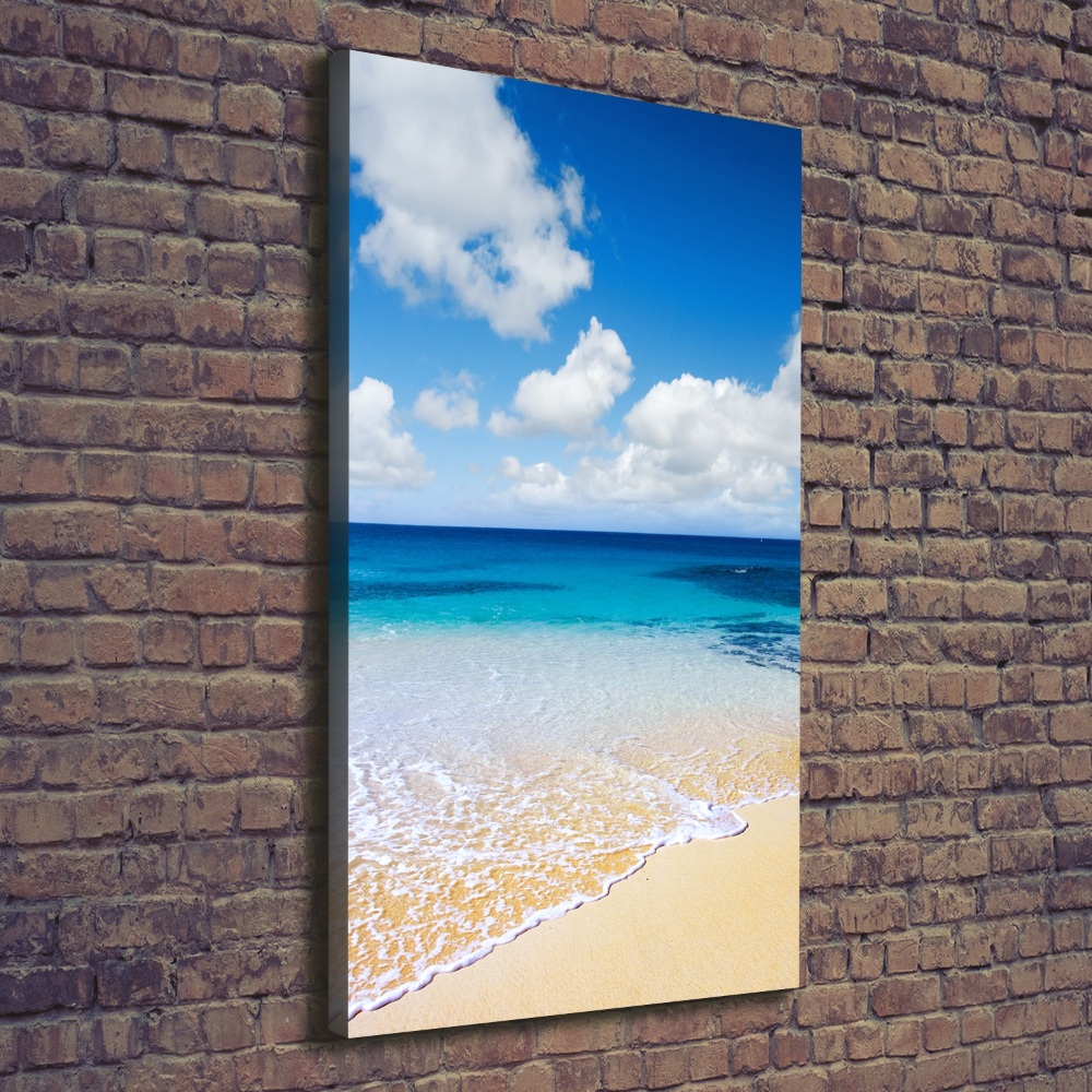 Tableau mural sur toile Plage tropicale ocean