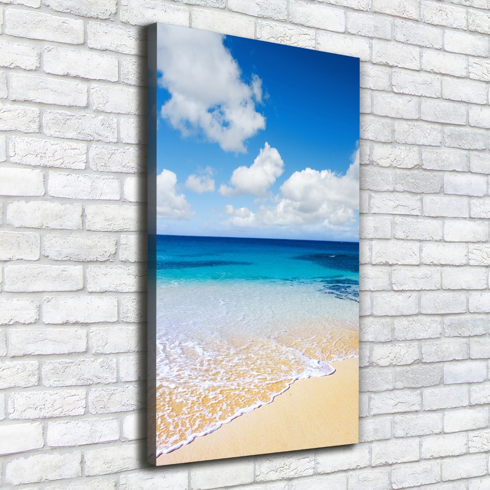 Tableau mural sur toile Plage tropicale ocean