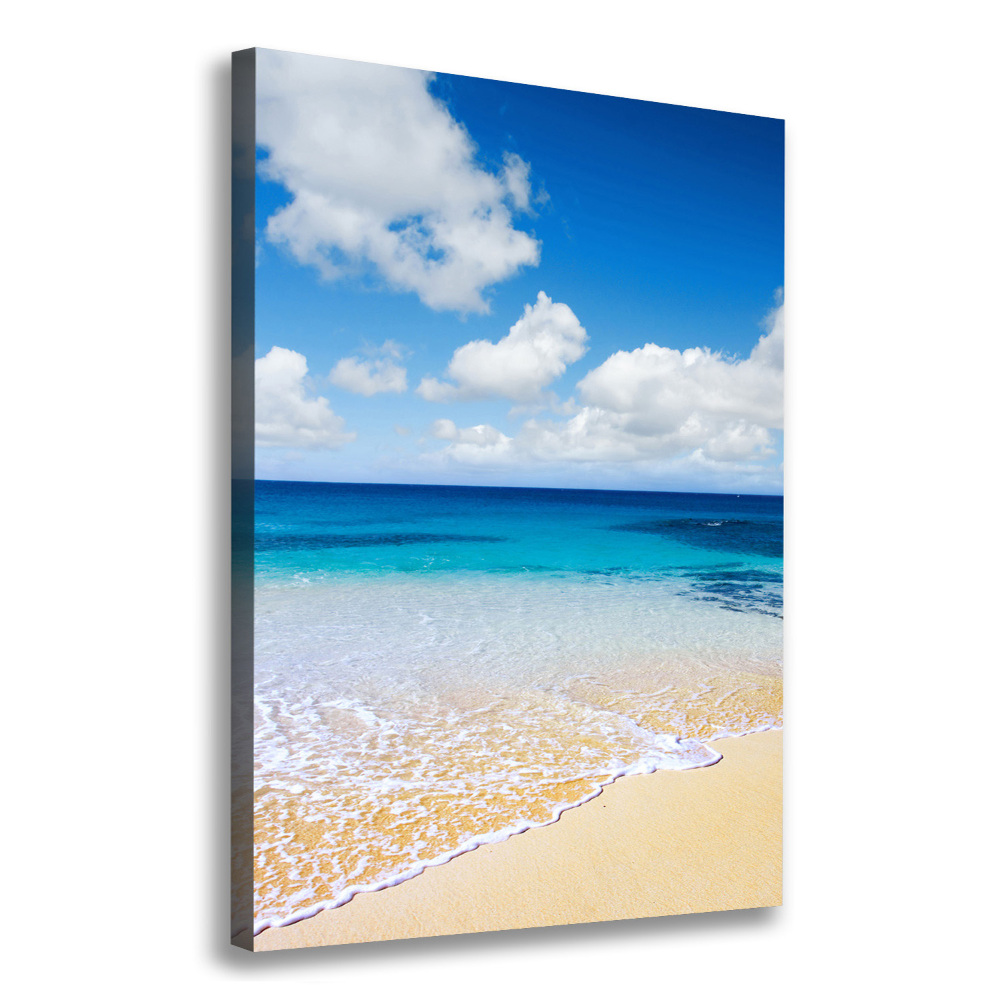 Tableau mural sur toile Plage tropicale ocean