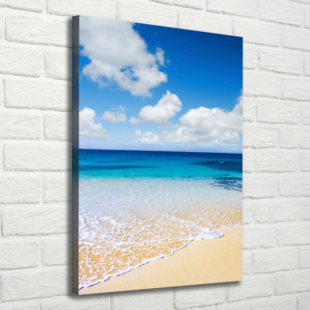 Tableau mural sur toile Plage tropicale ocean