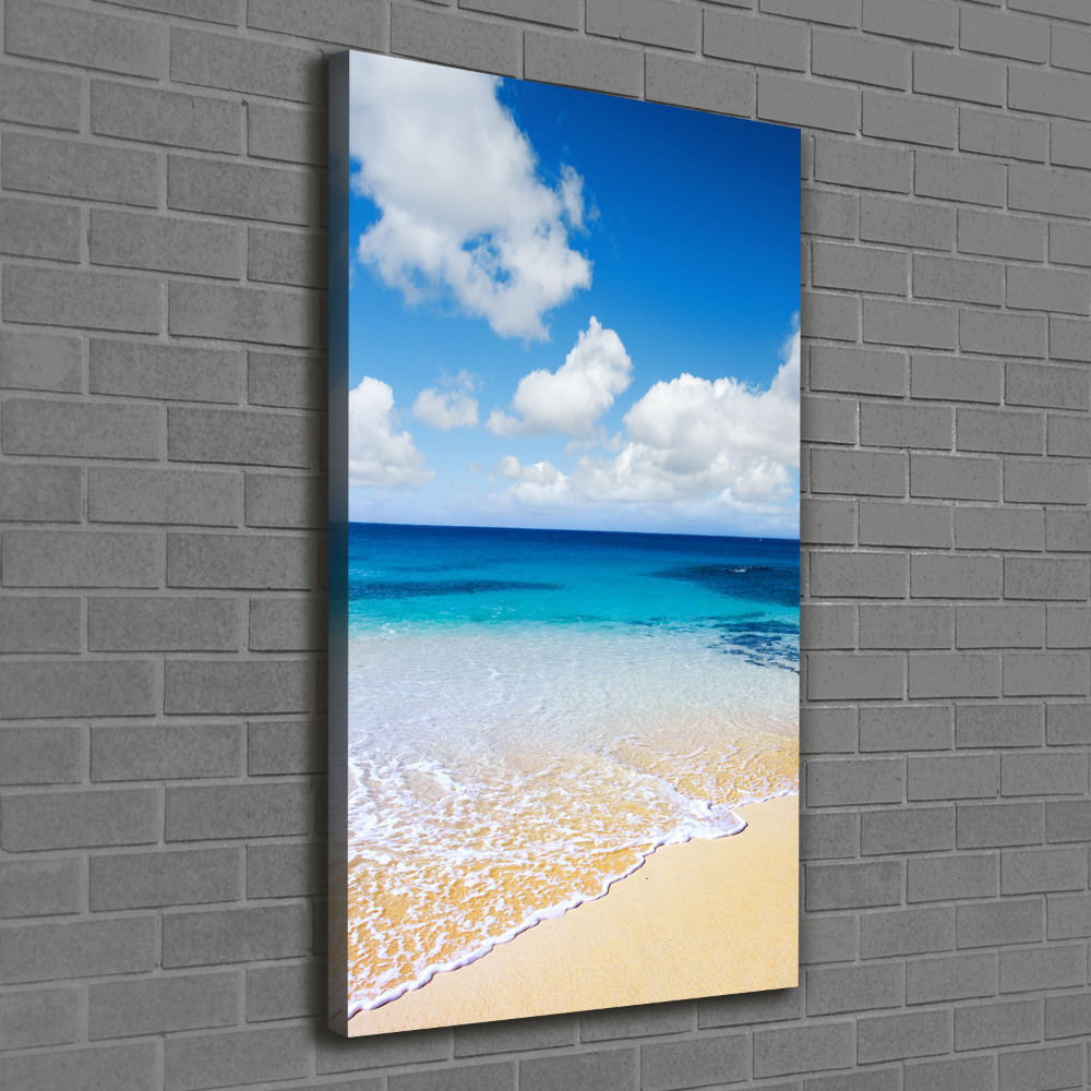 Tableau mural sur toile Plage tropicale ocean