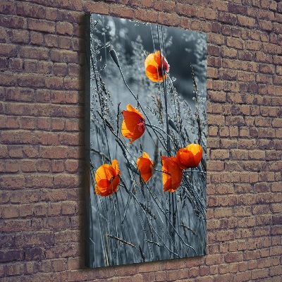 Tableau toile imprimée Coquelicots des champs